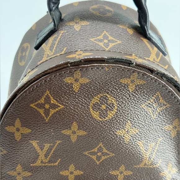Louis Vuitton Palm Springs Backpack Mini Brown Canvas main image 5